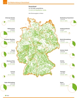 Bundeswaldinventur3 Waldverteilung klein