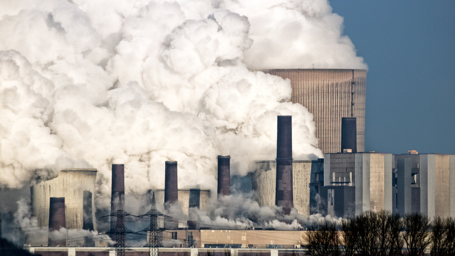 Grenzwerte der TA Luft vom Fachverband Holzenergie kritisiert