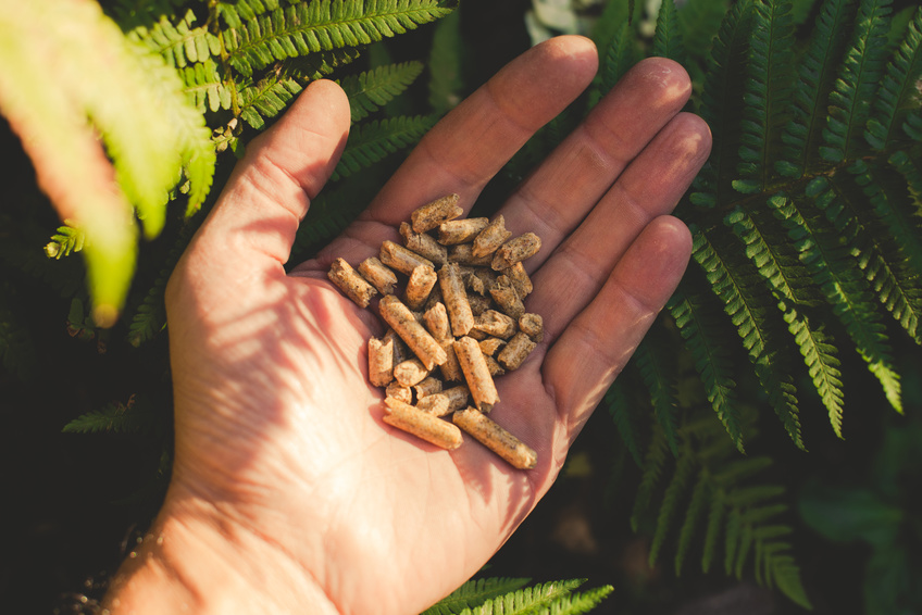 Produktion von Pellets in Deutschland auf Rekordhoch