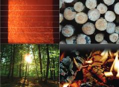 Holzenergie Tagung